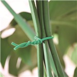 ABRAZADERA PP PLANTAS LISTA &Oslash;2,5MMX10M